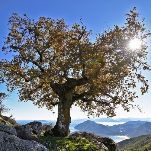 Ionian Islands: Corfu, Lefkada, Kefalonia and Ithaca – homeland of Odysseus