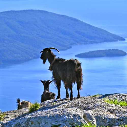 Ionian Islands: Corfu, Lefkada, Kefalonia and Ithaca – homeland of Odysseus